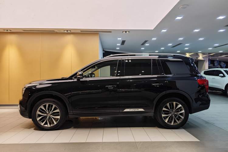 Used GAC Trumpchi GS8 2017 320T Four-Wheel Drive Luxury Smart Connectivity Version (7 Seats)
