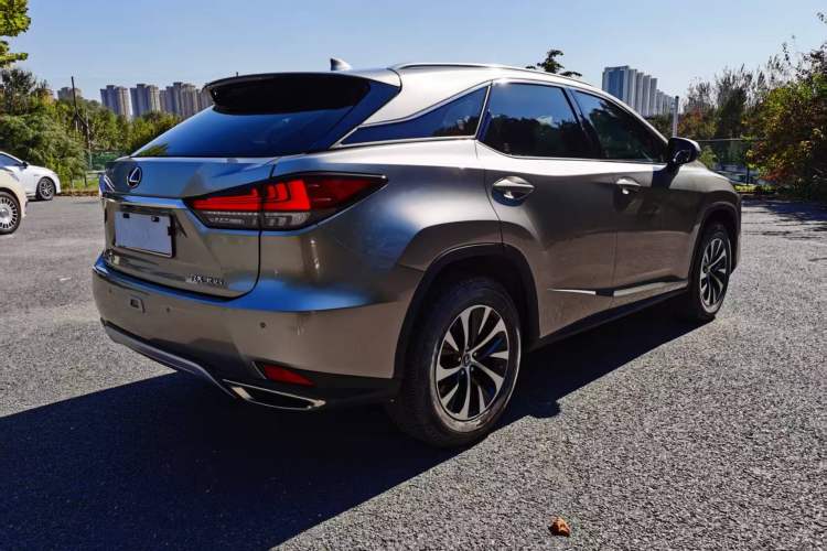 Used Lexus RX 2020 Revised Version 300 Two-Wheel Drive Elite Edition
