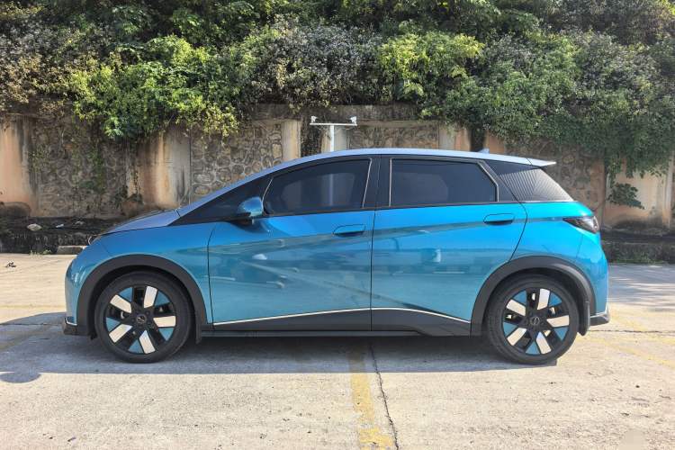 Used BYD Dolphin 2021 401km Knight Edition