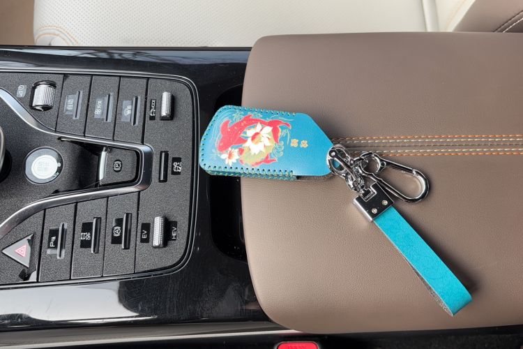 Used BYD Qin PLUS 2023 Champion Edition DM-i 55KM Leading Model