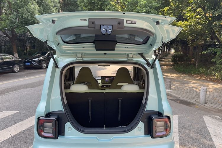 Used  Panda 2023 Panda Mini 200km Endurance Bear
