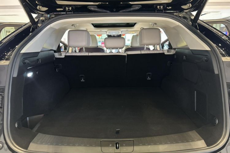 Used Wey Mocha 2021 2.0T Two-Wheel-Drive Premium Edition
