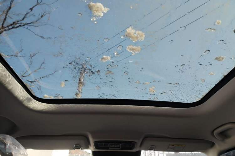 Used  BJ30 2024 1.5T Light Wilderness Pro Edition