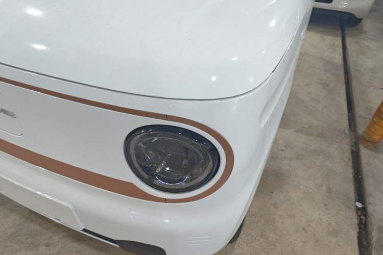 Used  Panda 2024 Panda Mini 200km Endurance Bear
