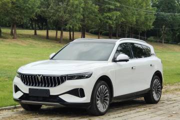 Used VOYAH FREE 2021 Four-Wheel Drive Extended-Range First Edition Commemorative Edition Exclusive Luxury Package