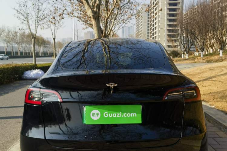 Used Tesla Model Y 2021 Standard Range Rear-Wheel Drive Version
