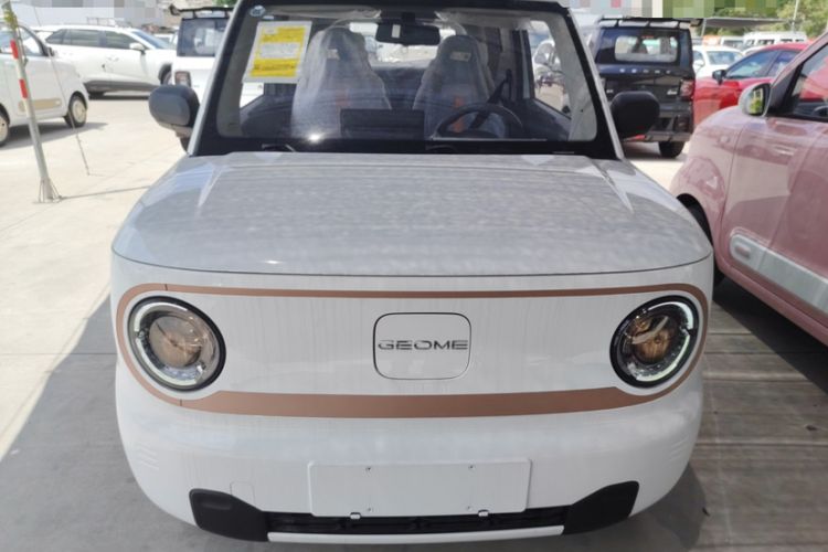 Used  Panda 2024 Panda Mini 200km Endurance Bear
