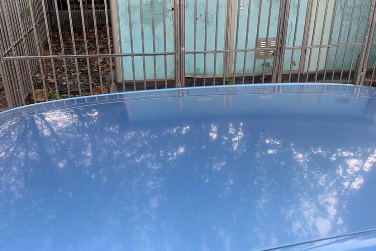 Used Skoda Fabia 2014 1.4L Manual Crystal Edition