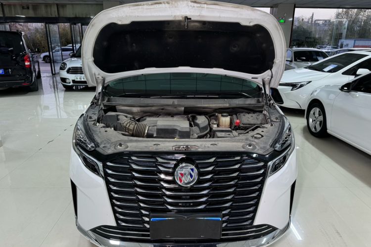 Used Buick GL8 2023 ES Lu Zun Comfort Model
