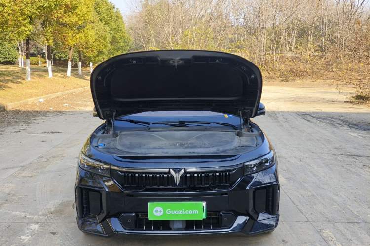 Used VOYAH FREE 2024 Ultra-Long Range Intelligent Driving Version