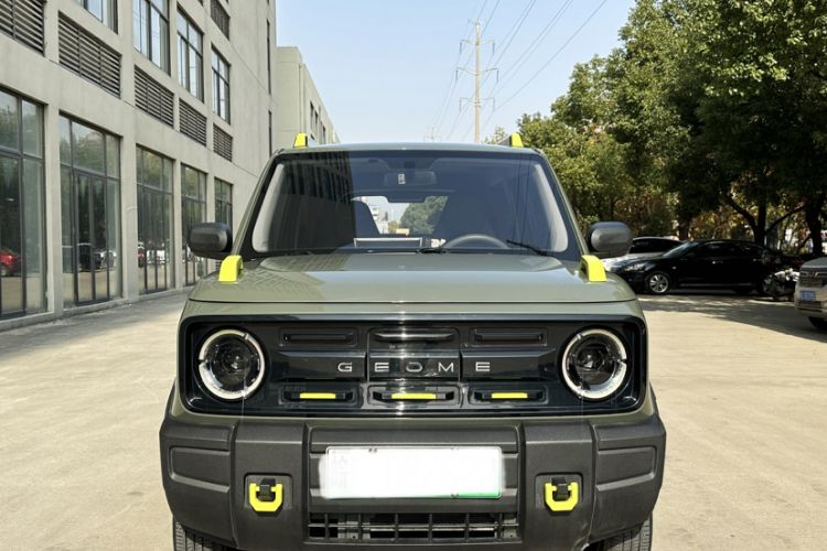 Used  Panda 2024 200km Panda Rider