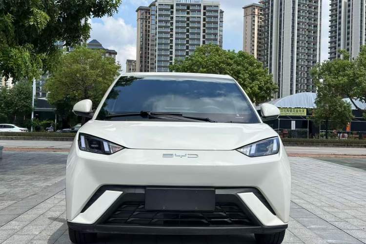 Used BYD Seagull 2023 Flying Edition
