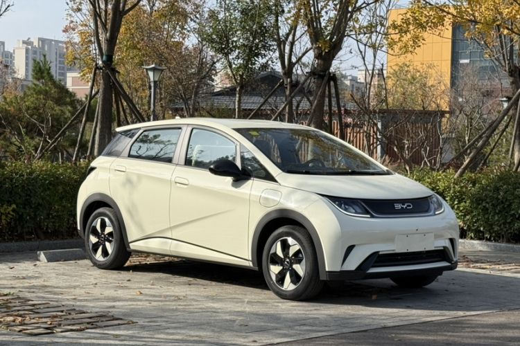 Used BYD Dolphin 2025 420km Free Edition
