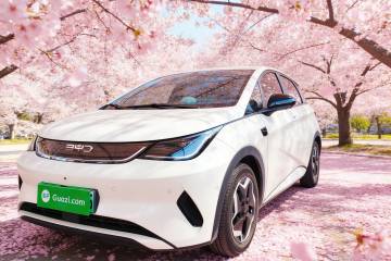 Used BYD Dolphin 2025 Smart Drive Version 420 km Freedom Edition