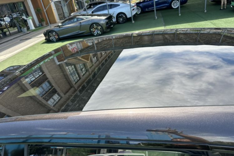 Used  07 2024 Max Pure Electric Edition
