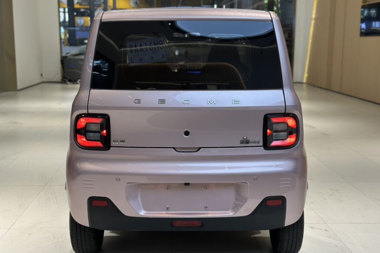 Used  Panda 2024 Panda Mini 200km Endurance Bear
