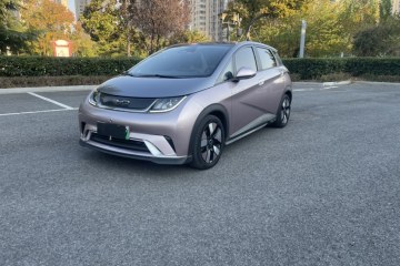 Used BYD Dolphin 2021 401km Knight Edition