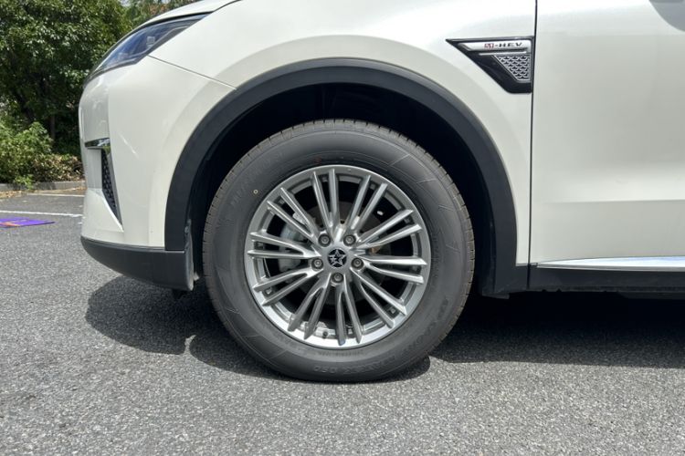 Used Venucia Star 2021 260T Automatic 48V Mild Hybrid Turbocharged Star Achieve Edition
