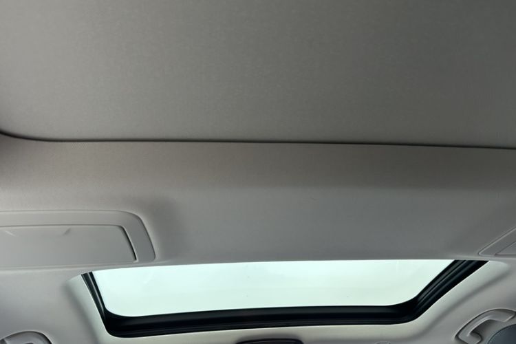 Used BMW 5 Series New Energy 2019 530Le Luxury Package
