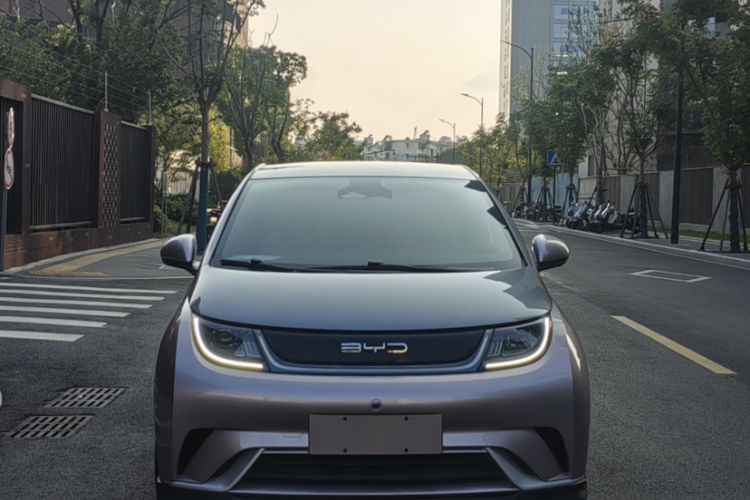 Used BYD Dolphin 2021 401km Knight Edition
