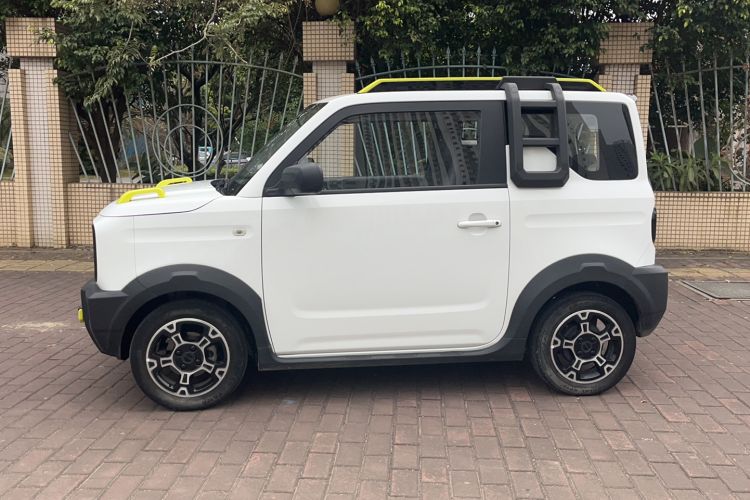 Used  Panda 2024 200km Panda Rider