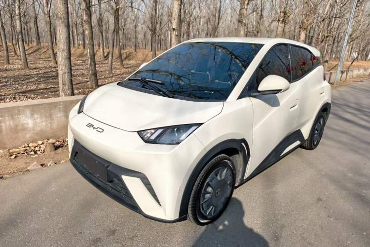 Used BYD Seagull 2023 Active Version
