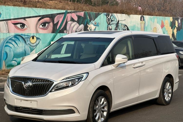 Used Buick GL8 2018 ES 28T Comfort Model China VI Standard