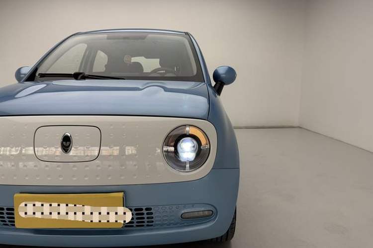 Used ORA Black Cat 2019 351 km Family Edition