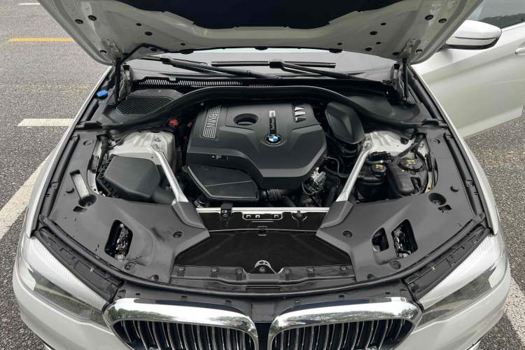 Used BMW 5 Series 2019 530Li Leading Model Luxury Package
