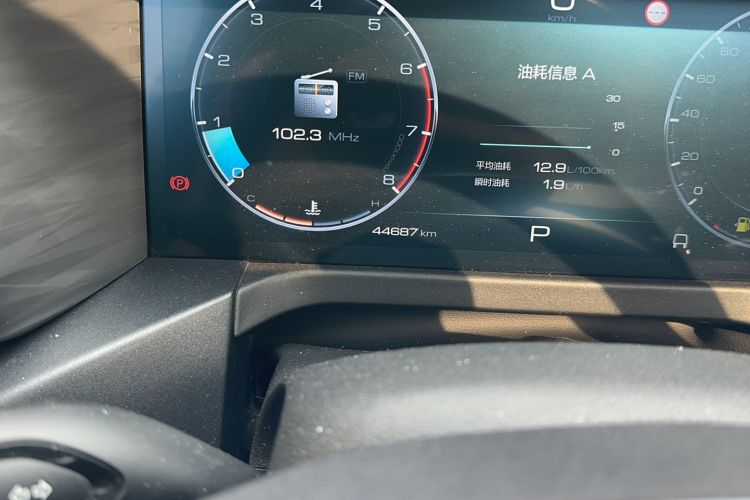 Used Tank 300 2021 Off-Road Edition 2.0T Conqueror