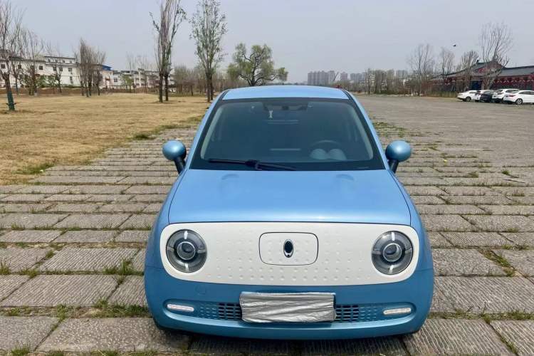 Used ORA Black Cat 2021 351 km Standard Version
