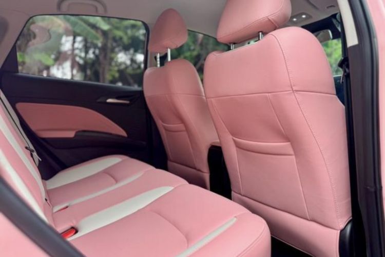 Used NETA V 2022 Chao 400 Lite Pink Custom Edition
