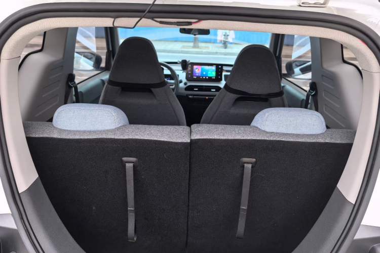 Used  Panda 2023 Panda Mini 200km Endurance Bear