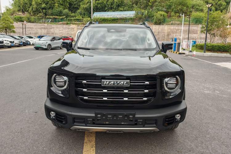 Used Haval DARGO 2021 2.0T DCT Two-Wheel Drive Chinese Mastiff Edition