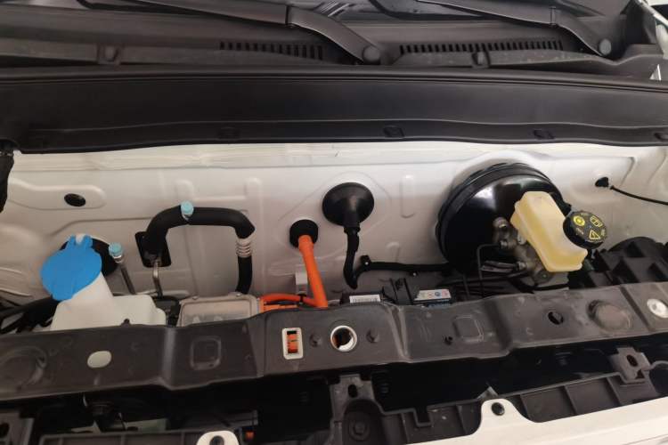 Used  Panda 2024 Panda Mini 200km Endurance Bear
