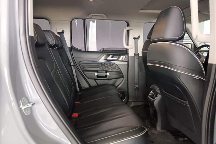 Used Tank 300 2024 2.0T Conqueror
