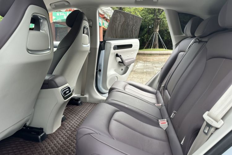 Used Leapmotor C11 2023 Pure Electric 500 Comfort Edition
