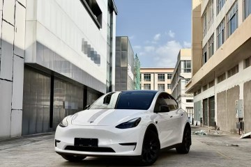 Used Tesla Model Y 2021 Long-Range All-Wheel-Drive Version 3D7
