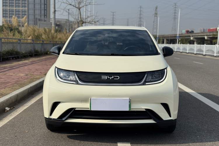 Used BYD Dolphin 2024 Honor Edition 420km Freedom Version