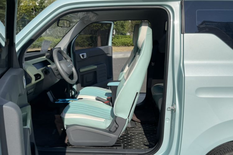 Used  Panda 2024 Panda Mini 200km Endurance Bear