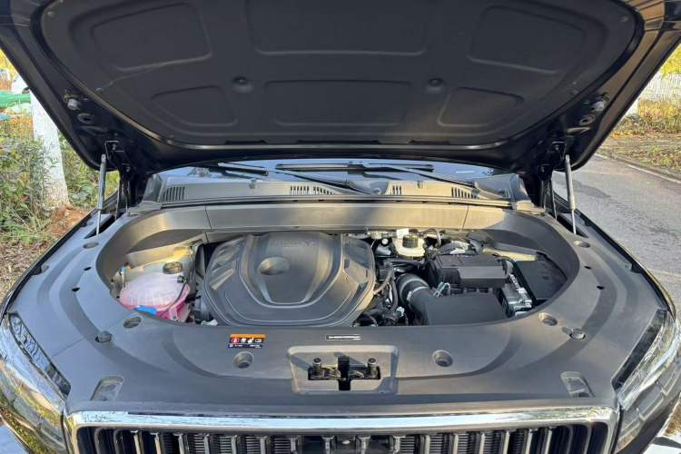 Used Geely Auto Monjaro L 2024 2.0TD DCT EVO Two-Wheel Drive Long-Range Version
