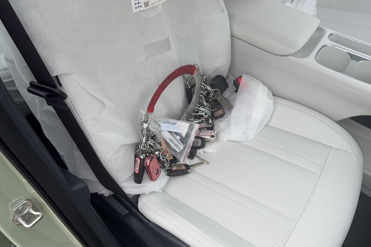 Used  Geome 2025 310km Youth Edition
