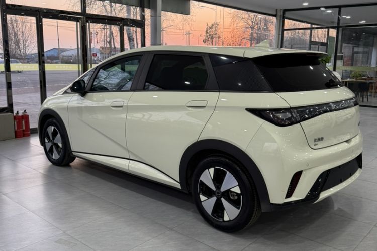 Used BYD Dolphin 2023 420 km Fashion Edition
