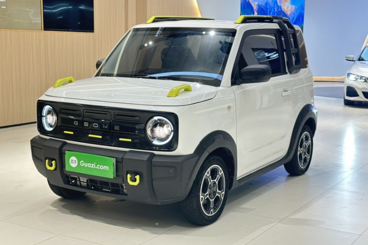 Used  Panda 2024 200km Panda Rider