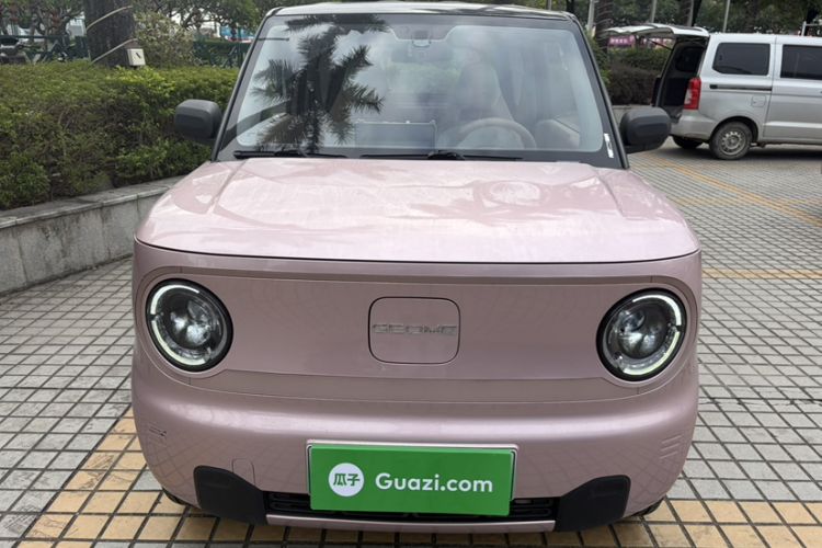 Used  Panda 2023 Panda Mini 200km Endurance Bear
