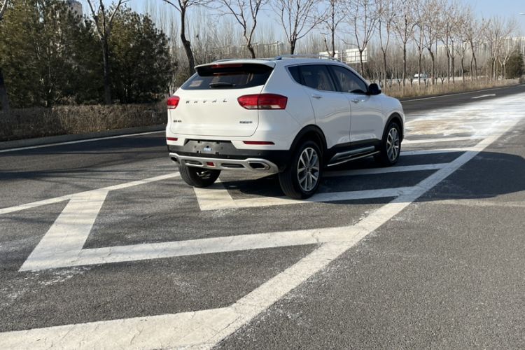 Used Haval H2s 2017 Red-Label 1.5T Dual-Clutch Luxury Model
