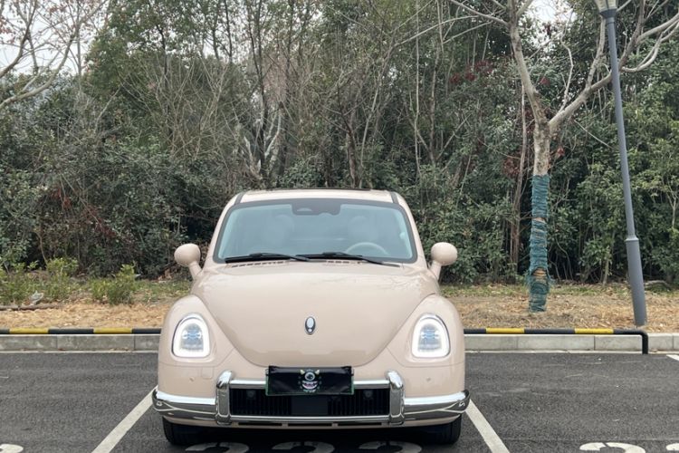 Used ORA Ballet Cat 2023 401 km Luxury Version