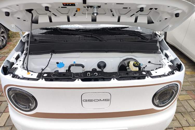 Used  Panda 2024 Panda Mini 200km Endurance Bear