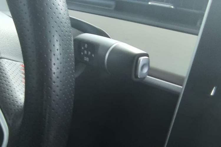 Used NETA V 2021 Long-Range Entertainment Edition Upgrade Model
