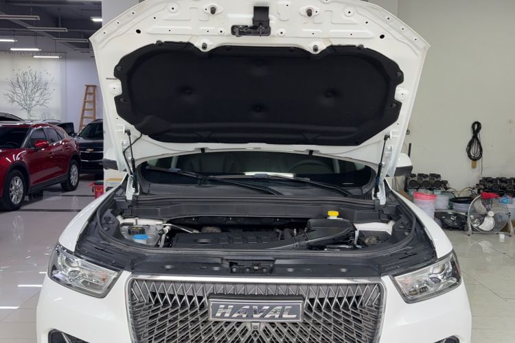 Used Haval H6 2021 1.5T Automatic Champion Edition
